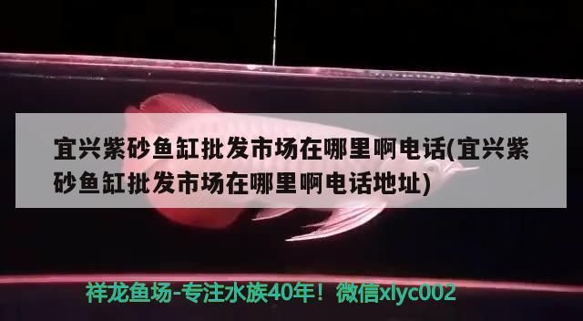 宜興紫砂魚缸批發(fā)市場(chǎng)在哪里啊電話(宜興紫砂魚缸批發(fā)市場(chǎng)在哪里啊電話地址) 宜興紫砂魚缸批發(fā)市場(chǎng)在哪里啊電話(宜興紫砂魚缸批發(fā)市場(chǎng)在哪里啊電話地址) 九鼎魚缸