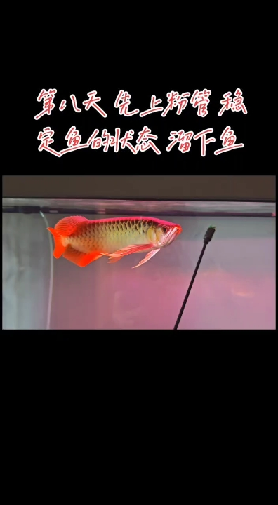 狀態還算穏定 保持