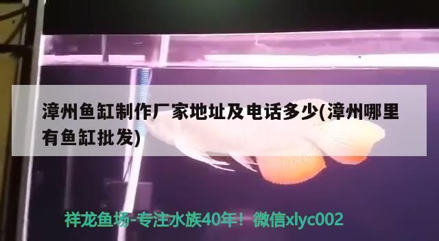 漳州魚缸制作廠家地址及電話多少(漳州哪里有魚缸批發(fā)) 漳州魚缸制作廠家地址及電話多少(漳州哪里有魚缸批發(fā)) 元寶鳳凰魚百科