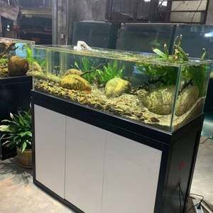 大型水族館怎么過濾的：大型水族館的過濾系統(tǒng)