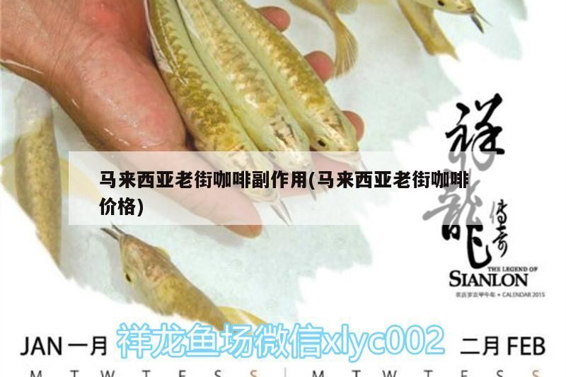 馬來西亞老街咖啡副作用(馬來西亞老街咖啡價格)