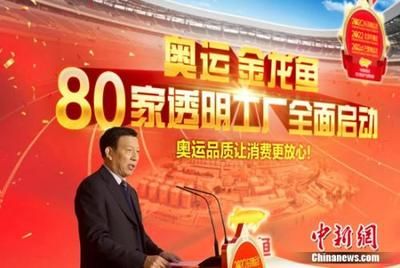 黃金貓魚吃什么東西長大快一點(黃金招財貓魚吃什么) 黃金貓魚吃什么東西長大快一點(黃金招財貓魚吃什么) 黃金貓魚百科