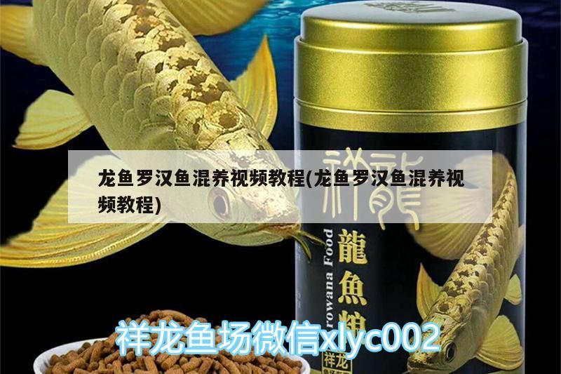 老魚匠加熱棒出現ee（老魚匠加熱棒出現ee如何解決）
