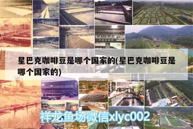 魚缸過濾器選購指南:自制魚缸過濾器魚缸上置過濾器對于養(yǎng)魚愛好者的必備知識 星巴克咖啡豆是哪個國家的(星巴克咖啡豆是哪個國家的) 馬來西亞咖啡 星巴克咖啡豆是哪個國家的(星巴克咖啡豆是哪個國家的) 星巴克咖啡豆是哪個國家的(星巴克咖啡豆是哪個國家的) 馬來西亞咖啡