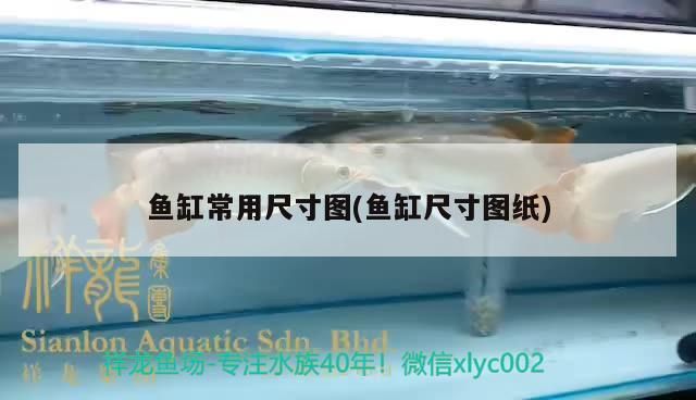魚缸常用尺寸圖(魚缸尺寸圖紙)