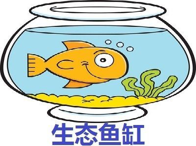 水族館加盟店賺錢嗎現在多少錢（開水族館加盟店需要多少錢）
