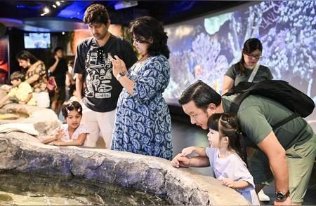 水族館游玩作文（關于水族館游玩的作文詳情：在我的記憶中）