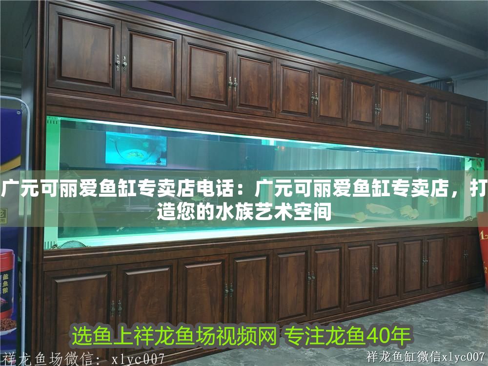 廣元可麗愛魚缸專賣店電話:廣元可麗愛魚缸專賣店,打造您的水族藝術空間 iwish愛唯希品牌魚缸 第1張 廣元可麗愛魚缸專賣店電話:廣元可麗愛魚缸專賣店,打造您的水族藝術空間 廣元可麗愛魚缸專賣店電話:廣元可麗愛魚缸專賣店,打造您的水族藝術空間 iwish愛唯希品牌魚缸 第1張