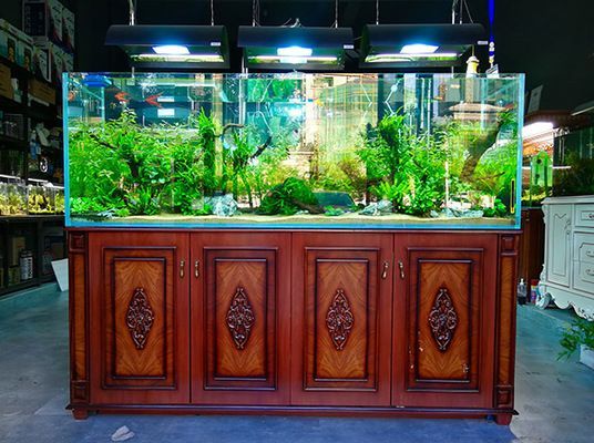 水族館開店加盟代理（水族館開店加盟代理業務） 水族館開店加盟代理（水族館開店加盟代理業務） 水族館百科（水族館加盟） 第4張