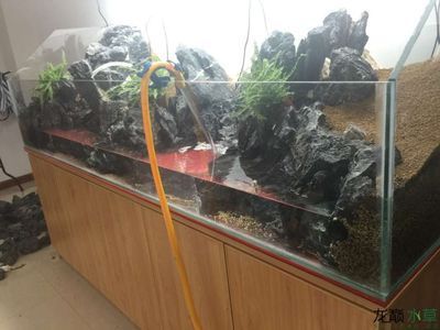50公分魚缸造景：50公分魚缸造景的養(yǎng)護(hù)技巧在養(yǎng)護(hù)50公分魚缸造景的布局