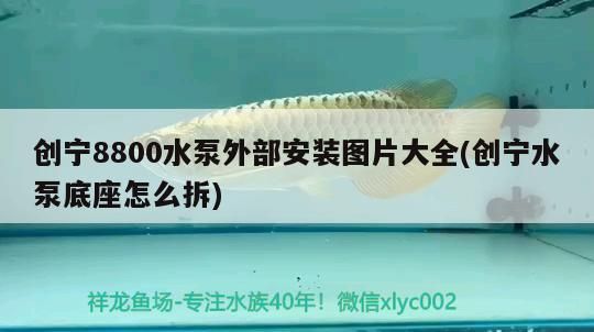 創寧8800水泵外部安裝圖片大全(創寧水泵底座怎么拆)