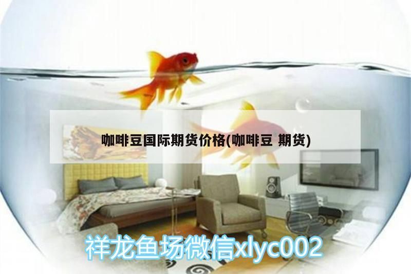 咖啡豆國際期貨價格(咖啡豆期貨) 咖啡豆國際期貨價格(咖啡豆期貨) 馬來西亞咖啡