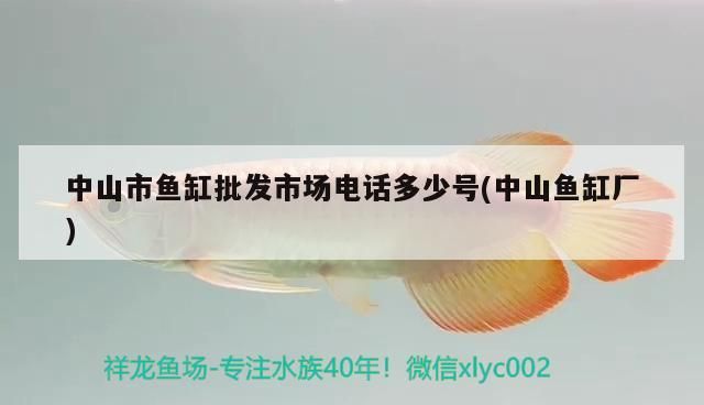 中山市魚缸批發市場電話多少號(中山魚缸廠)
