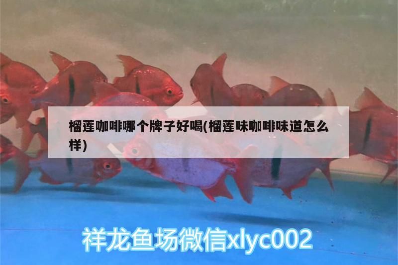 榴蓮咖啡哪個牌子好喝(榴蓮味咖啡味道怎么樣) 榴蓮咖啡哪個牌子好喝(榴蓮味咖啡味道怎么樣) 馬來西亞咖啡