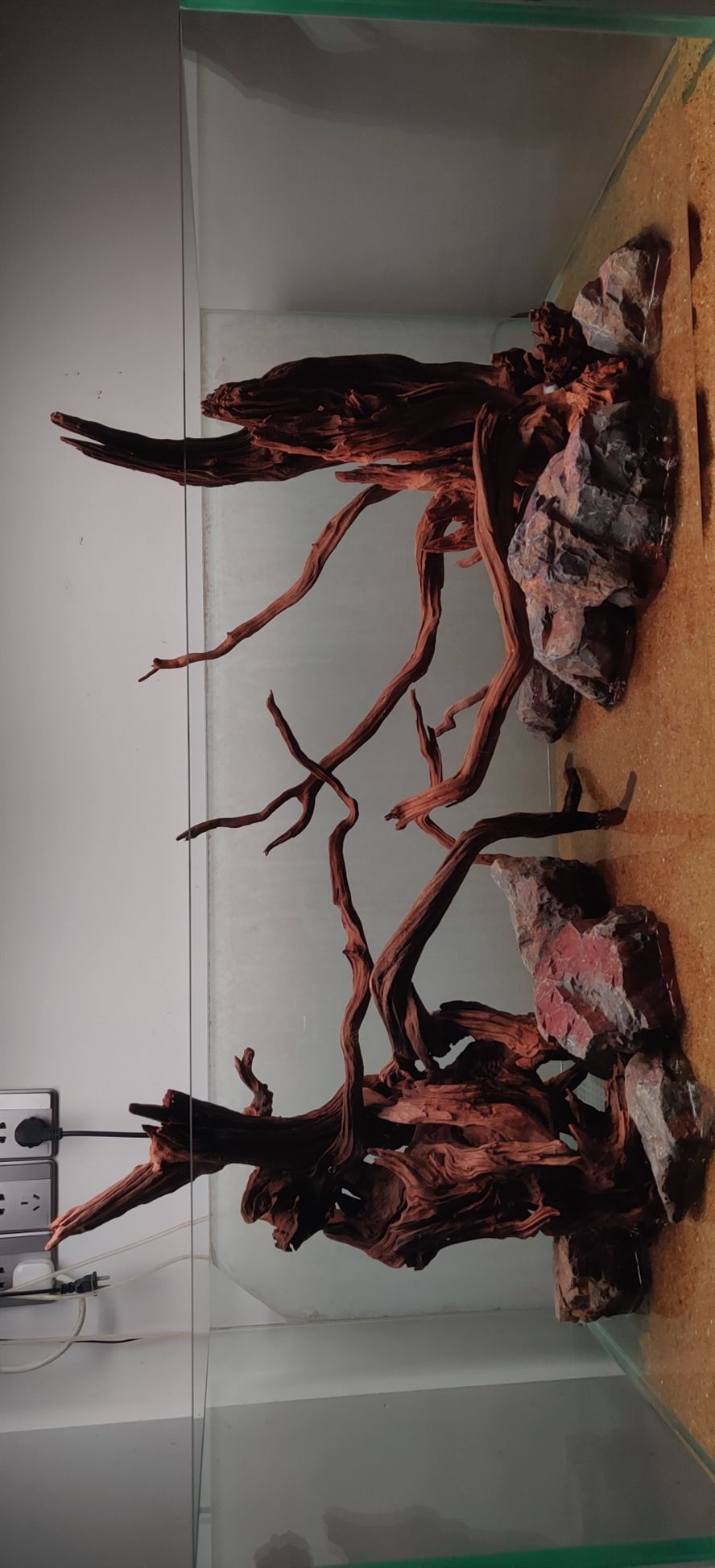這個骨架怎樣？ 這個骨架怎樣？ 龍魚論壇