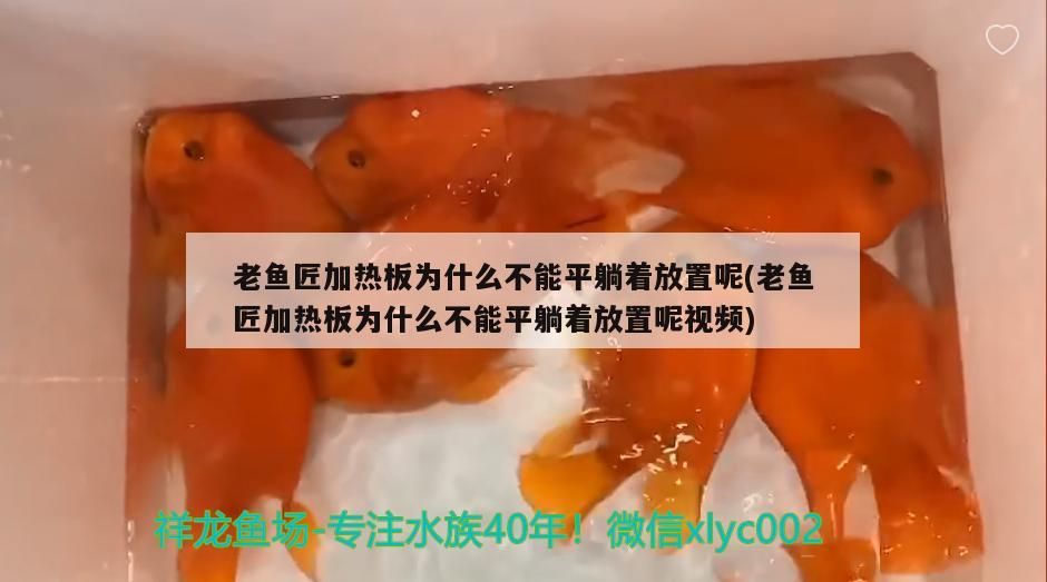 老魚匠加熱板為什么不能平躺著放置呢(老魚匠加熱板為什么不能平躺著放置呢視頻) 老魚匠加熱板為什么不能平躺著放置呢(老魚匠加熱板為什么不能平躺著放置呢視頻) 老魚匠