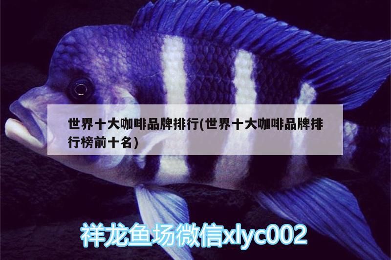 世界十大咖啡品牌排行(世界十大咖啡品牌排行榜前十名)