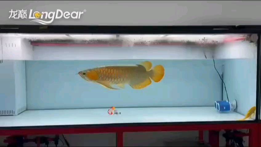 轉發605