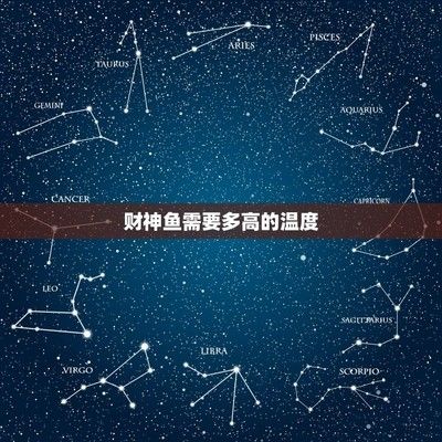 世界最昂貴十大名魚，奢華與稀有的象征，世界十大最昂貴名魚，奢華與稀有的終極象征