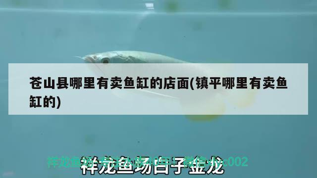 蒼山縣哪里有賣魚缸的店面(鎮平哪里有賣魚缸的)