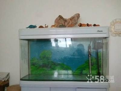森森牌魚缸怎么樣
