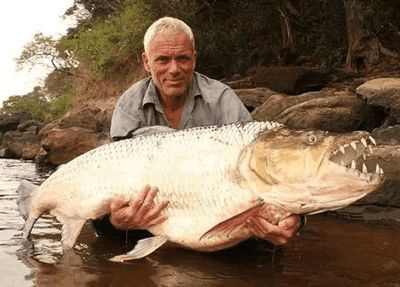 印度虎魚能吃嗎：印度虎魚是否適合食用，印度虎魚能吃嗎， 印度虎魚能吃嗎：印度虎魚是否適合食用，印度虎魚能吃嗎， 虎魚百科 第1張