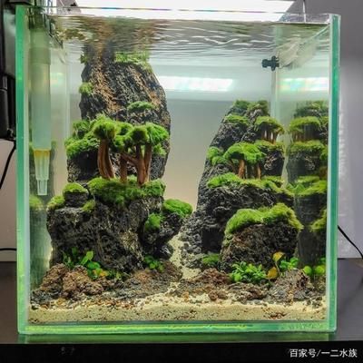 35厘米魚缸造景圖片及價格：對不起，我無法提供實時的魚缸造景圖片及價格信息 35厘米魚缸造景圖片及價格：對不起，我無法提供實時的魚缸造景圖片及價格信息 魚缸百科 第1張