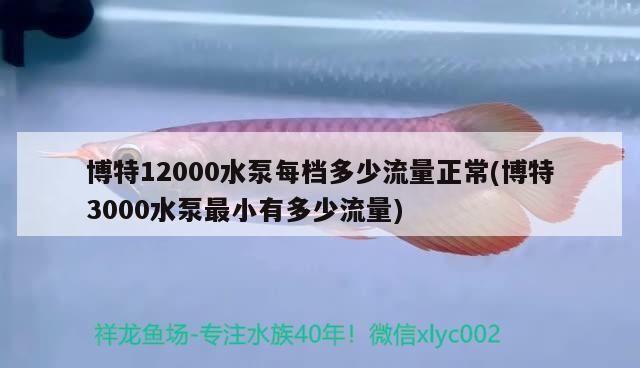 博特12000水泵每檔多少流量正常(博特3000水泵最小有多少流量)
