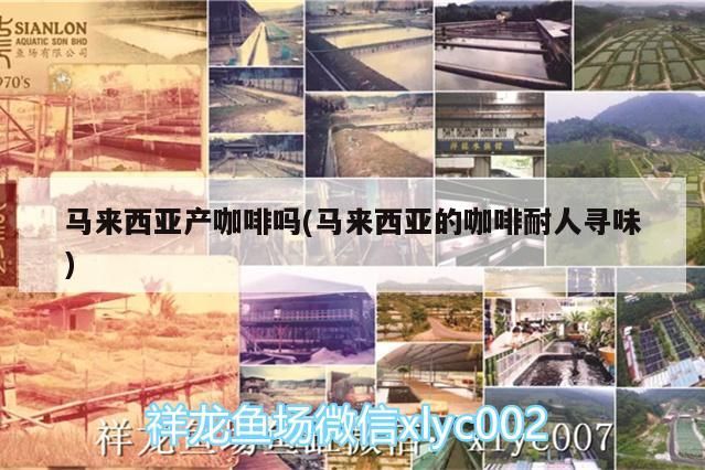 馬來西亞產咖啡嗎(馬來西亞的咖啡耐人尋味) 馬來西亞產咖啡嗎(馬來西亞的咖啡耐人尋味) 馬來西亞咖啡