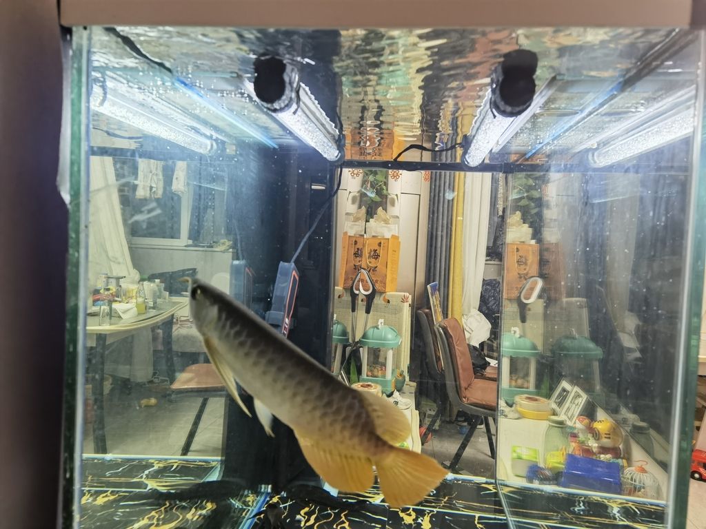 這么裝燈對嗎