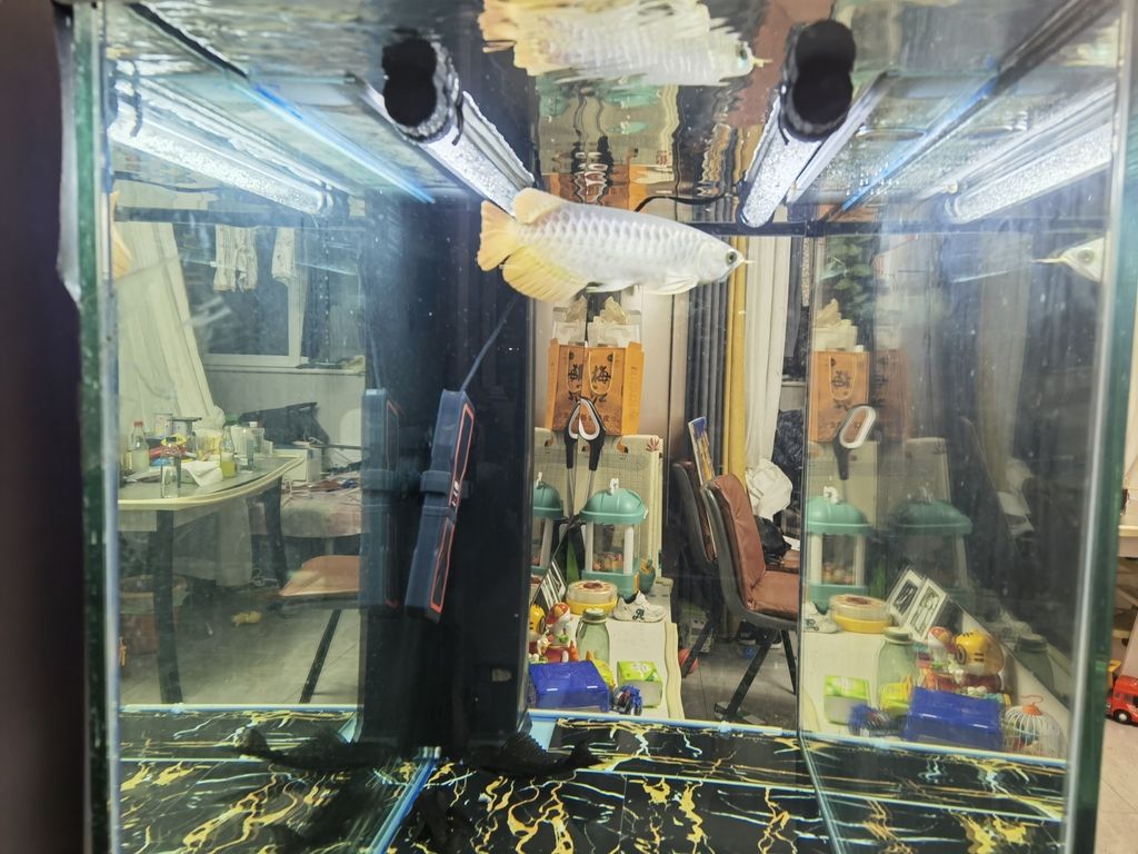這么裝燈對嗎