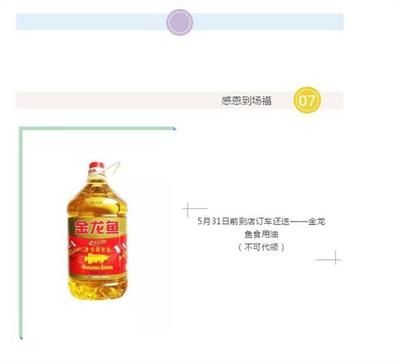 金龍魚恒溫設備選擇指南:金龍魚恒溫泳池設備怎么樣 金龍魚百科 第5張 金龍魚恒溫設備選擇指南:金龍魚恒溫泳池設備怎么樣 金龍魚恒溫設備選擇指南:金龍魚恒溫泳池設備怎么樣 金龍魚百科 第5張