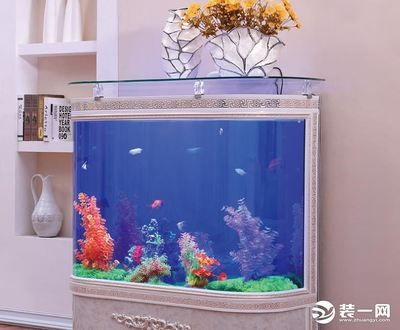 鸚鵡魚和銀龍魚混養怎樣喂食 新買的魚缸多久換一次水(新買的魚缸多久換一次水比較好) 觀賞魚百科 新買的魚缸多久換一次水(新買的魚缸多久換一次水比較好) 新買的魚缸多久換一次水(新買的魚缸多久換一次水比較好) 觀賞魚百科