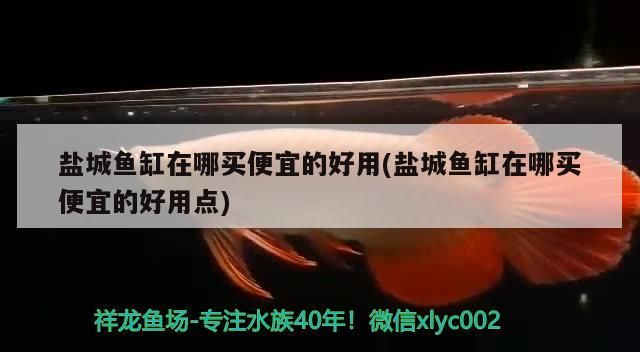 給大魚缸換水的作文:體驗給大魚缸換水的樂趣:體驗給大魚缸換水:給大魚缸換水的作文 鹽城魚缸在哪買便宜的好用(鹽城魚缸在哪買便宜的好用點) iwish愛唯希品牌魚缸 鹽城魚缸在哪買便宜的好用(鹽城魚缸在哪買便宜的好用點) 鹽城魚缸在哪買便宜的好用(鹽城魚缸在哪買便宜的好用點) iwish愛唯希品牌魚缸