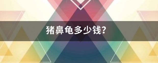 豬鼻龜2021價格：豬鼻龜養殖成本分析