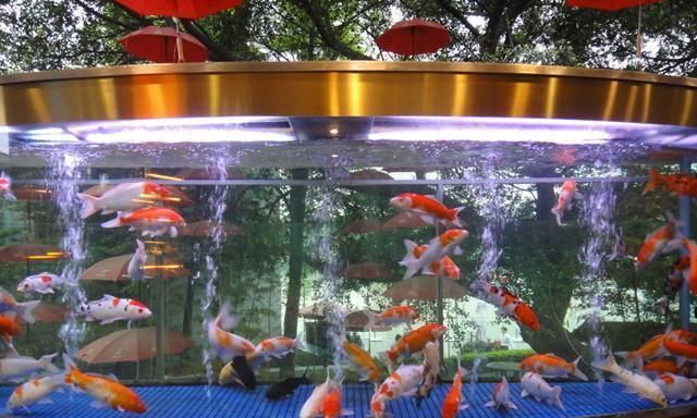 伊罕250噪音解決（伊罕250噪音解決辦法）