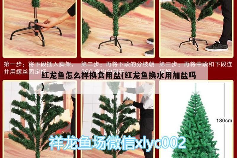 紅龍魚怎么樣換食用鹽(紅龍魚換水用加鹽嗎) 紅龍魚怎么樣換食用鹽(紅龍魚換水用加鹽嗎) iwish愛唯希品牌魚缸