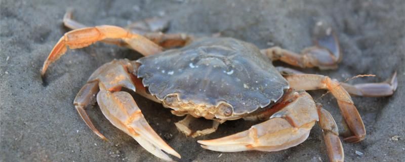三亞魚缸轉(zhuǎn)讓信息大全圖 三亞魚缸轉(zhuǎn)讓信息大全圖片 三亞魚缸轉(zhuǎn)讓信息大全圖 三亞魚缸轉(zhuǎn)讓信息大全圖片 馬來西亞咖啡