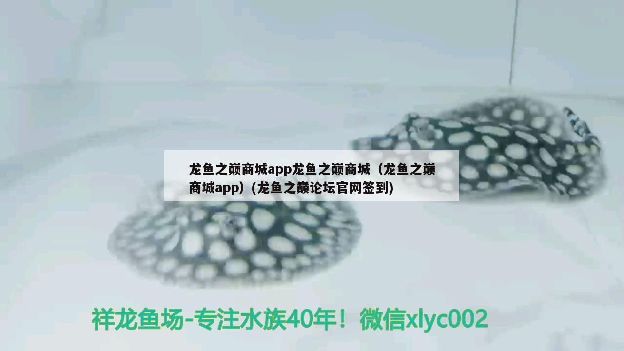 龍魚之巔商城app龍魚之巔商城（龍魚之巔商城app）(龍魚之巔論壇官網簽到)