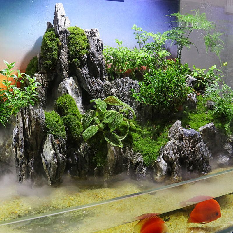 diy魚缸造景假山：diy魚缸造景假山的材料和制作方法 diy魚缸造景假山：diy魚缸造景假山的材料和制作方法 魚缸百科 第3張