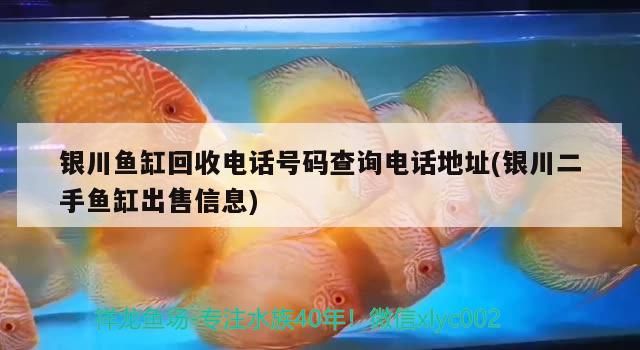 銀川魚缸回收電話號碼查詢電話地址(銀川二手魚缸出售信息)