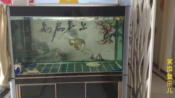 CZHNHDJDKJ魚缸，czhnhdjdkj魚缸用戶評價匯總