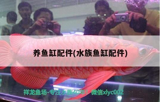 魚缸用增氧泵價格是多少:魚缸增氧機-xtrac增氧機-xtrac增氧機 養魚缸配件(水族魚缸配件) 元寶鳳凰魚百科 養魚缸配件(水族魚缸配件) 養魚缸配件(水族魚缸配件) 元寶鳳凰魚百科