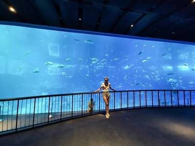 水族館工資高嗎（水族館飼養(yǎng)員工作機會多嗎）