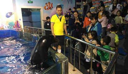 水族館工資高嗎（水族館飼養(yǎng)員工作機會多嗎）