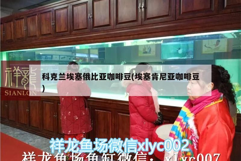 科克蘭埃塞俄比亞咖啡豆(埃塞肯尼亞咖啡豆) 科克蘭埃塞俄比亞咖啡豆(埃塞肯尼亞咖啡豆) 馬來西亞咖啡