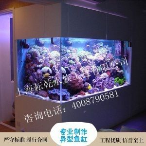 伊罕精巧桶60（伊罕精巧桶60評測）