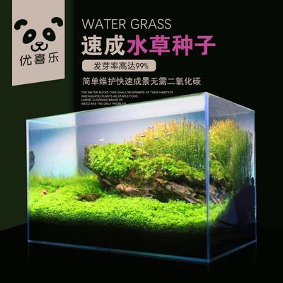 lanbao魚缸質(zhì)量咋樣:藍(lán)寶品牌的魚缸有哪些特點(diǎn)? 魚缸百科 第1張 lanbao魚缸質(zhì)量咋樣:藍(lán)寶品牌的魚缸有哪些特點(diǎn)? lanbao魚缸質(zhì)量咋樣:藍(lán)寶品牌的魚缸有哪些特點(diǎn)? 魚缸百科 第1張