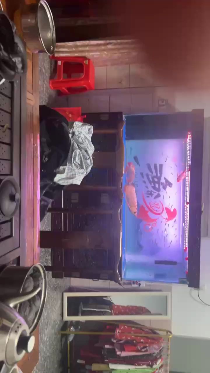 天天猛魚，一天N次天天日 天天猛魚，一天N次天天日 龍魚論壇