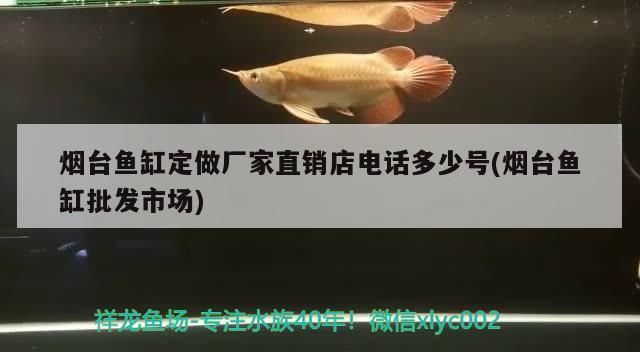 煙臺魚缸定做廠家直銷店電話多少號(煙臺魚缸批發(fā)市場) 煙臺魚缸定做廠家直銷店電話多少號(煙臺魚缸批發(fā)市場) 觀賞魚百科